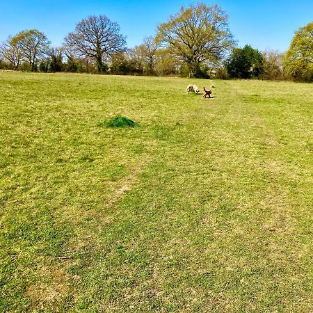 Elkstone Studio Private Hottub Pet Friendly Malvern Exteriör bild